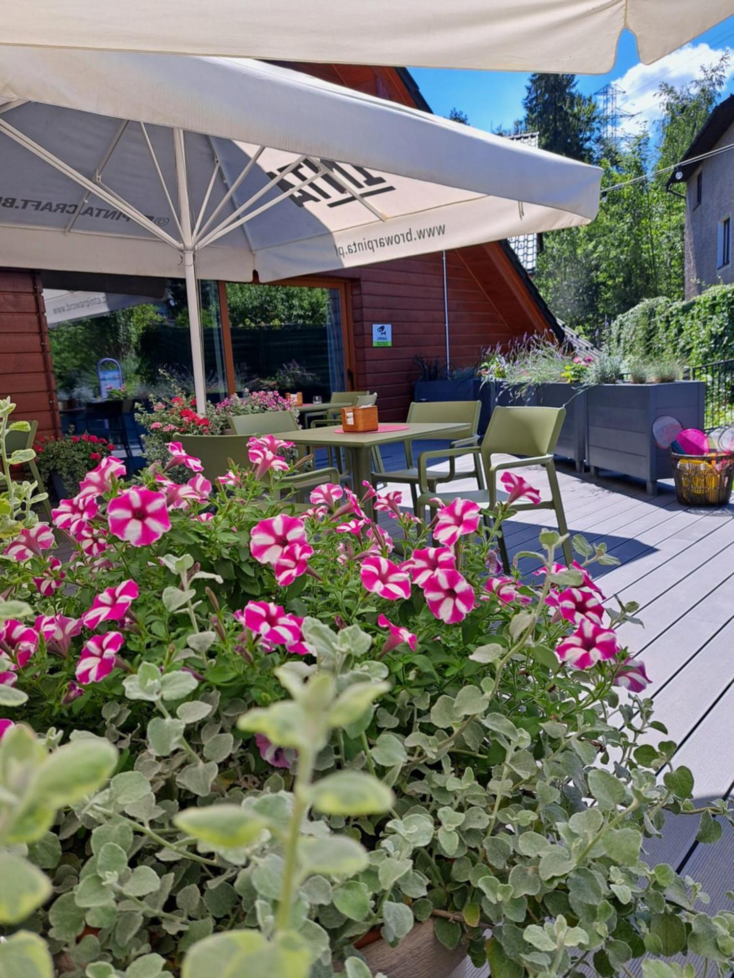 Hotel Zacisze Wegierska Gorka Exterior photo